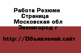 Работа Резюме - Страница 2 . Московская обл.,Звенигород г.